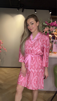 Jurk Paris Roze